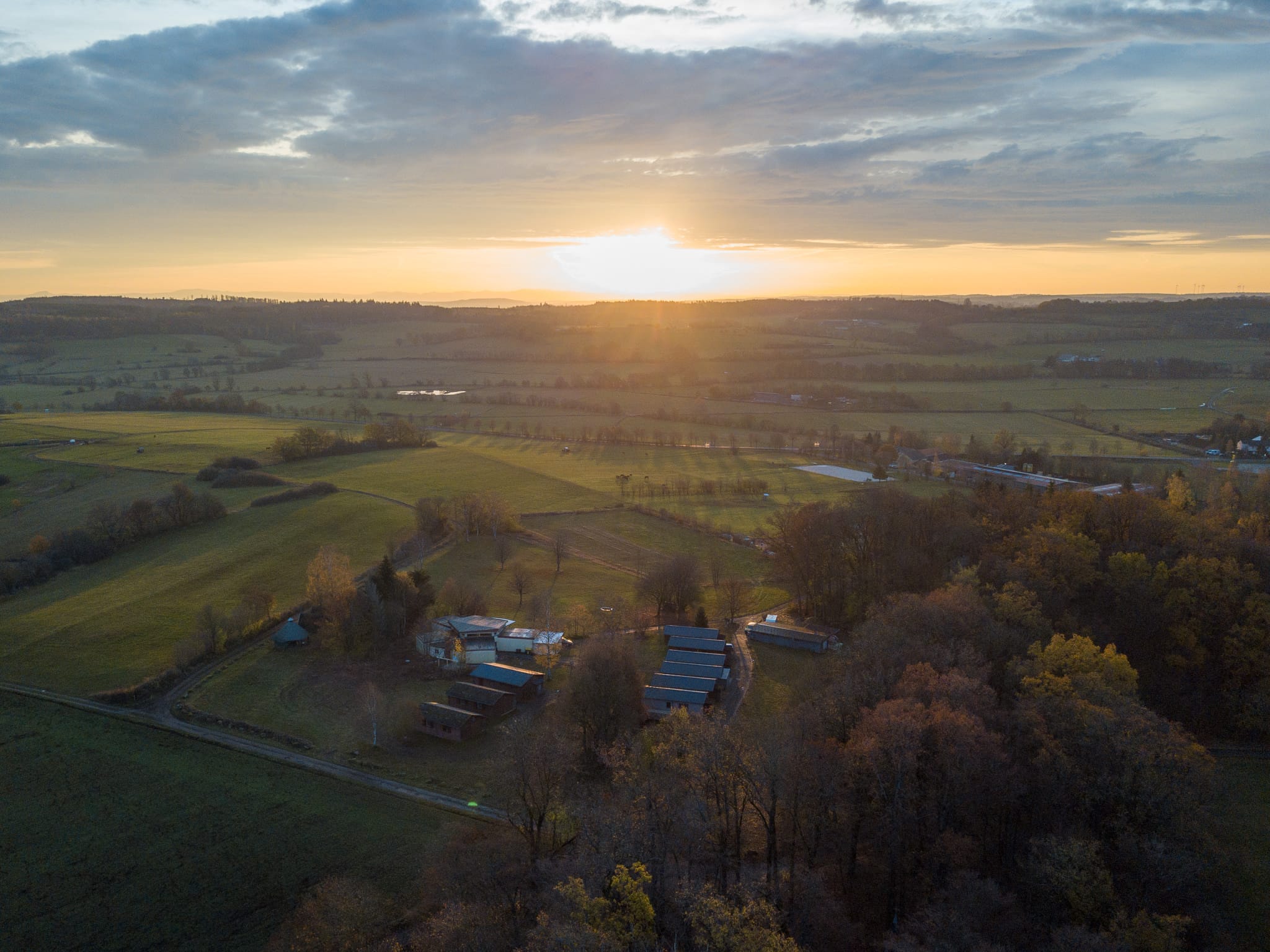 Ländliche Landschaft bei Sonnenuntergang mit Feldern und Wald